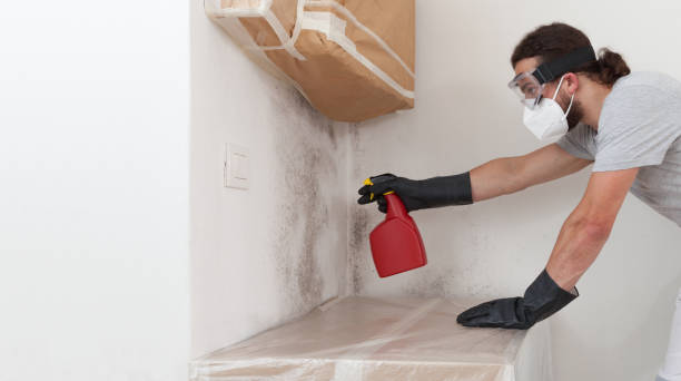 Professional Attic Mold Remediation technician working in Miami, FL