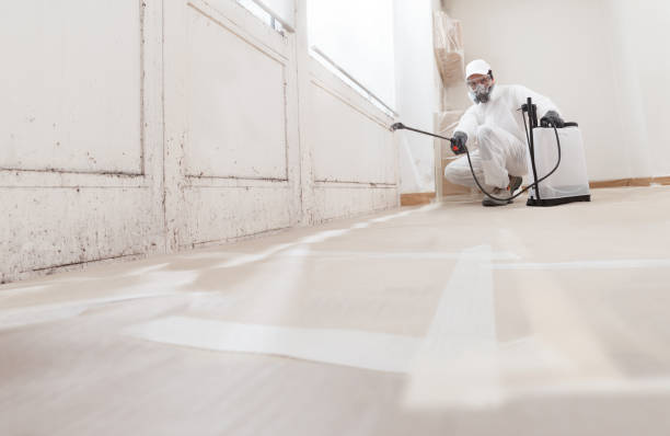 24/7 Emergency Attic Mold Remediation experts in Miami, FL